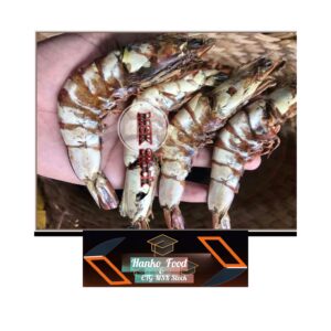 Rangabali caga Icha - Shutki -250 GM|500gm